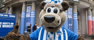 Das Maskottchen Herthinho von Hertha BSC streckt den Daumen nach oben.