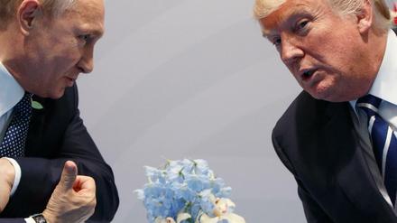 Zwei, die sich auch nicht immer verstehen: Wladimir Putin (l.) und Donald Trump. 