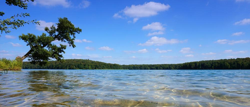 Urlaub am See. Unser Autor Bernhard Schulz hörte während des "Summer of Love" hauptsächlich Brit-Pop.