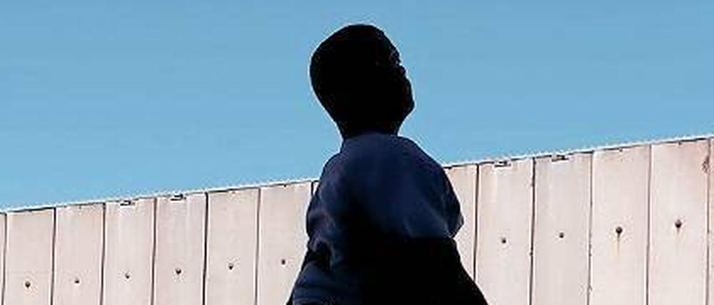 Lemuren sollt ihr. Der C-Print „Lemogang“ aus dem Jahr 2013.