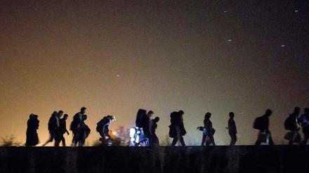 Flüchtlinge im September 2015 an der Grenze zwischen Ungarn und Serbien. 