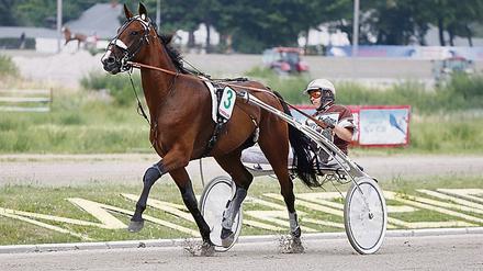 Mit Hengst Cash Hanover verpasste Thorsten Tietz 2015 den Sieg beim Derby in Mariendorf.
