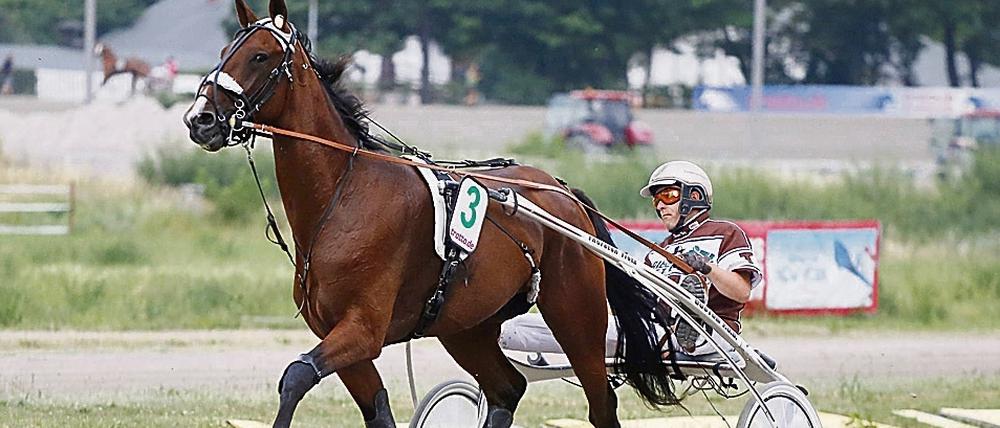 Mit Hengst Cash Hanover verpasste Thorsten Tietz 2015 den Sieg beim Derby in Mariendorf.