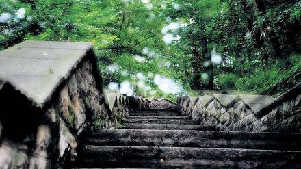 Verwunschen. Vom Tal, wo der Märchenbrunnen sprudelt, führen Treppen hinauf auf die Berge. Sie begraben eine Geschichte, die sie nicht vollständig tilgen können.