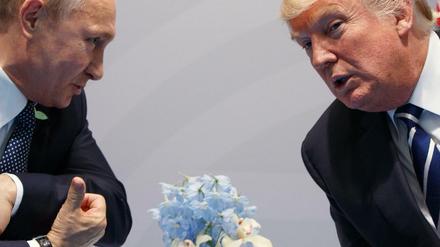 Kremlchef Wladimir Putin (links) und US-Präsident Donald Trump.