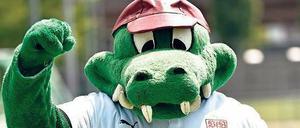 Schießt scharf. VfB-Maskottchen Fritzle kurbelt beim Aufsteiger im Hintergrund.