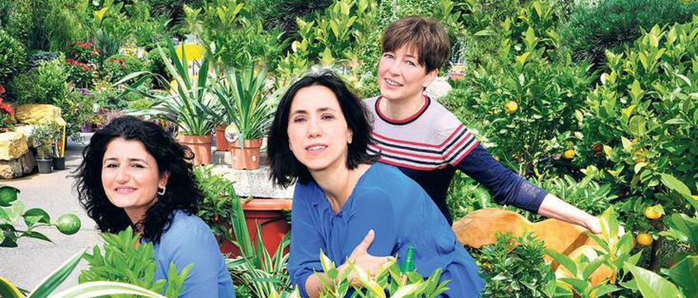 Wo die Zitronen blüh’n. Drei Grazien aus Italien (v. li.): Luisa Giannitti aus Neapel, Natalia Giordano aus Genua, Anna Luisa Manca aus Sardinien – kulinarische Botschafterinnen ihres Landes. Für die mediterrane Umgebung allerdings war Improvisation vonnöten. Das Foto entstand im Gartencenter. 