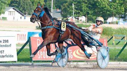 Mit vielen Pferden gut dabei. Michael Nimczyk mit TomNJerry Diamant beim Sieg im vierten Vorlauf zum 122. Deutschen Traber-Derby. 