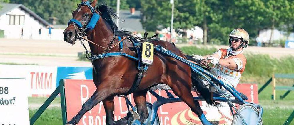 Mit vielen Pferden gut dabei. Michael Nimczyk mit TomNJerry Diamant beim Sieg im vierten Vorlauf zum 122. Deutschen Traber-Derby. 