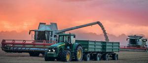 So wird es nicht aussehen, aber fast. Mähdreschern im Einsatz in Mecklenburg-Vorpommern.