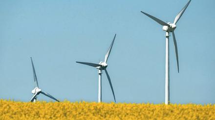 Windräder eines Windparks in der Nähe von Wolgast, Mecklenburg-Vorpommern.