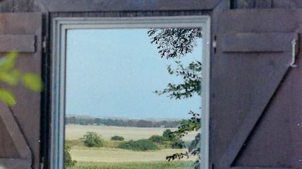 Draußen sein. Das Oderbruch – ein sumpfiges Binnendelta der Oder – liegt in Brandenburg und Polen.