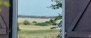 Draußen sein. Das Oderbruch – ein sumpfiges Binnendelta der Oder – liegt in Brandenburg und Polen.