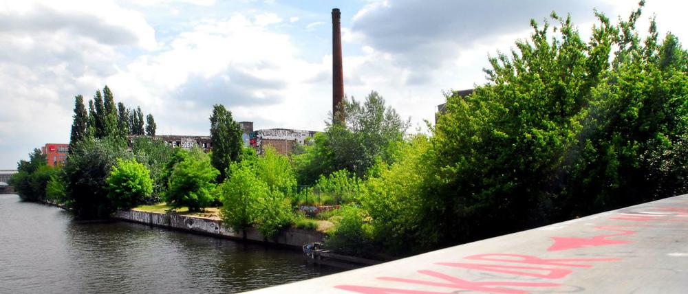 Blick von der Michaelbrücke auf die Spree