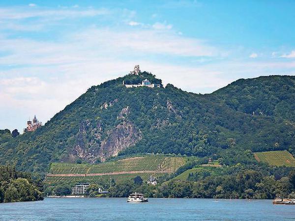 Der Drachenfels mit Burgruine und Ausflugslokal auf dem Gipfel.