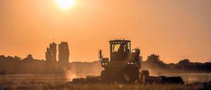 Wiesenmahd auf dem Tempelhofer Feld