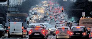 ... morgens rein und abends wieder raus. Mal mehr, mal weniger zügig.