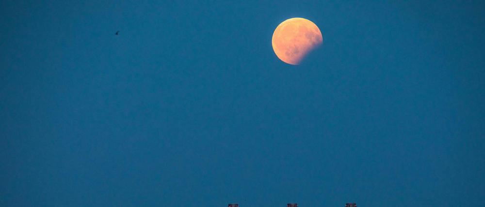 Blick auf die partielle Mondfinsternis über Berlin. 