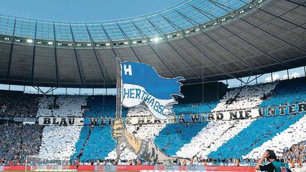 Wieder an der Spitze. Am 6. August 2011  feierten die Hertha-Fans die Rückkehr ihres Vereins in die 1. Bundesliga. Foto: Rainer Jensen/dpa