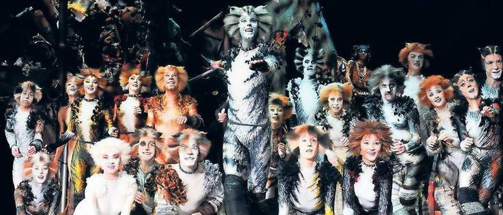 Szene aus „Cats“. 