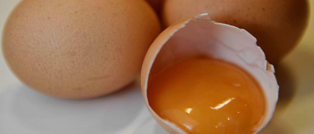 Eier. In den Niederlanden musste zahlreiche aussortiert werden.