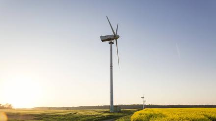 Germany, Ruegen, Cape Arkona, wind wheels at rape field PUBLICATIONxINxGERxSUIxAUTxHUNxONLY MAMF00269  