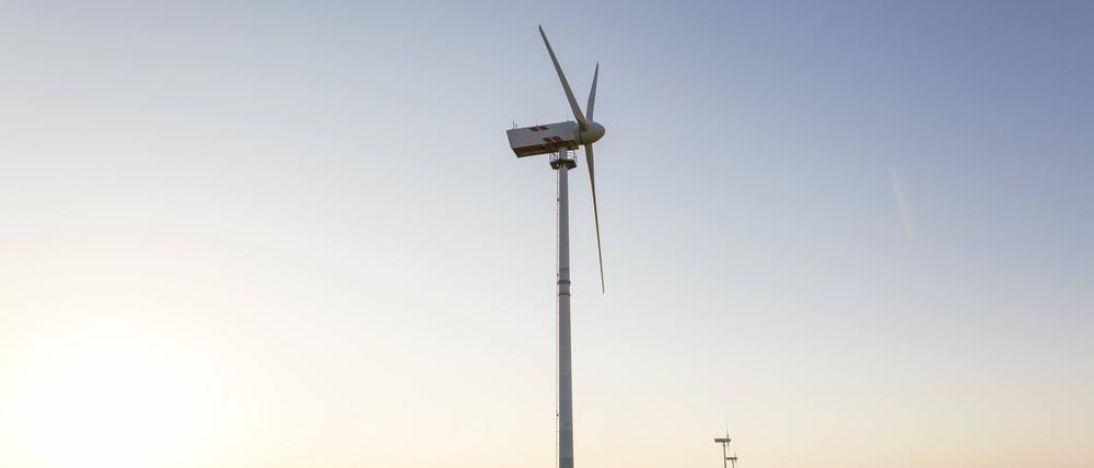 Germany, Ruegen, Cape Arkona, wind wheels at rape field PUBLICATIONxINxGERxSUIxAUTxHUNxONLY MAMF00269  