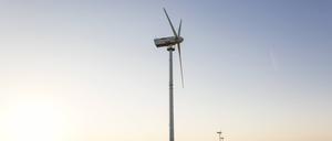 Germany, Ruegen, Cape Arkona, wind wheels at rape field PUBLICATIONxINxGERxSUIxAUTxHUNxONLY MAMF00269  