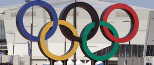 ARD und ZDF werden von den Olympischen Winterspielen in Südkorea berichten können.