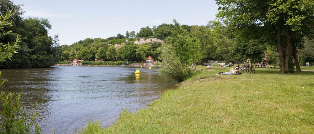 Die Ziegelwiese ist ein beliebter Naherholungsort in Halle.