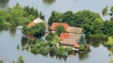 Unter Wasser. Elbe-Überschwemmung in der Nähe von Wittenberge (Brandenburg).