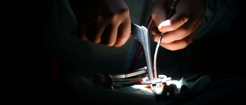In guten Händen? Aus Sicht der Grünen hat sich die Vergabe der Patientenberatung an ein kommerziell interessiertes Unternehmen nicht bewährt. 