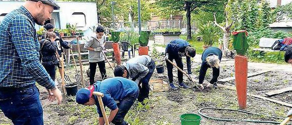 Graben statt schwänzen. Mit Gartenarbeit gegen Schulabbruch. 