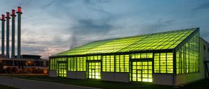 Ein grünlich erleuchtetes Laborgebäude der TU München.