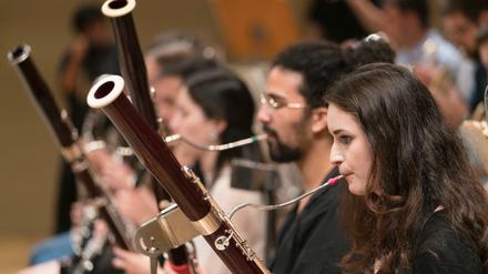 Quecksilbrig. Das Schleswig Holstein Festival Orchester. 