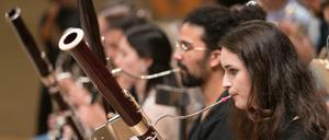 Quecksilbrig. Das Schleswig Holstein Festival Orchester. 