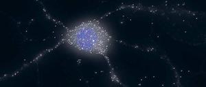 Reine Nervensache. Erst seit Kurzem wissen Forscher, dass in Nervenzellen (Zellkern blau gefärbt) kreisförmige Ribonukleinsäure-Moleküle (weiß) existieren, die das Weiterleiten von Reizen und damit Lernvorgänge im Gehirn kontrollieren.