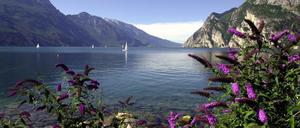 Idyll am Gardasee, wunderschön. Passt das überhaupt noch zum Zustand der Welt? 