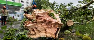 Ein Feuerwehrmann zersägt nach einem schweren Unwetter in Freiburg (Baden-Württemberg) einen Baumstamm. 