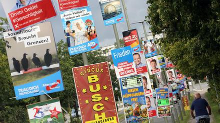 Bald ist Bundestagswahl.