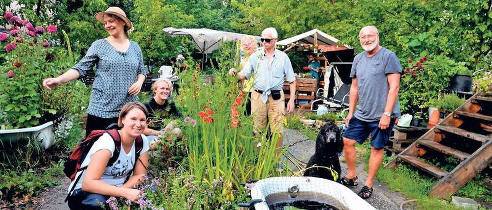 Grünes Bündnis. „Prachttomaten“-Gärtner und, mit Sonnenbrille und offenem Hemd, ihr Dauerzaungast Achim. Der schätzt „die bekloppten Bauwerke“ hier.
