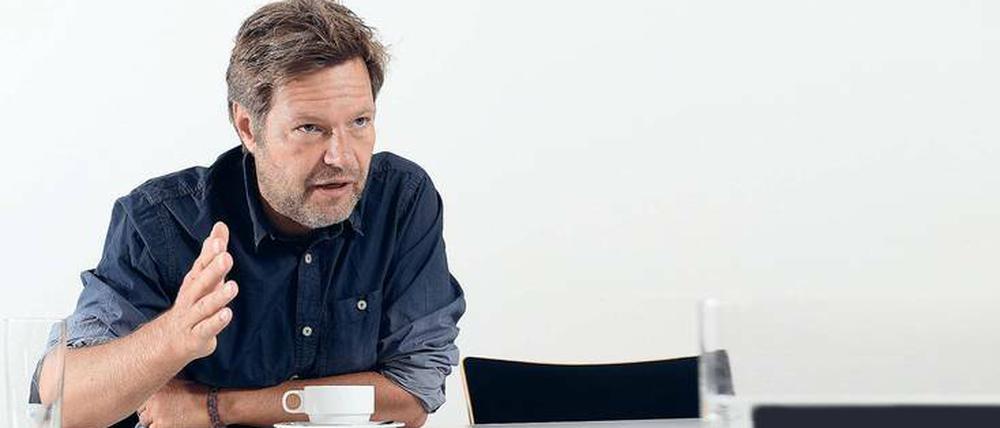 Bevor er in die Politik ging, arbeitete Robert Habeck (Grüne) als Autor.