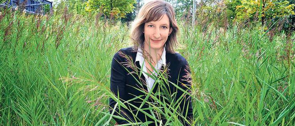 Vom Schreibtisch in den Wald. Pfizer-Mitarbeiterin Irina Leibold engagiert sich mit Kollegen für ein Aufforstungsprojekt.