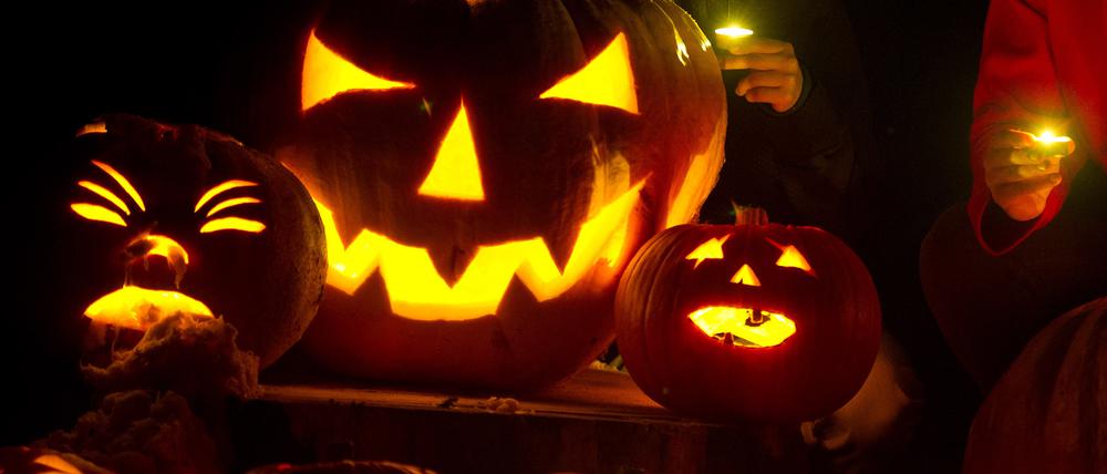 ARCHIV - 21.10.2012, Brandenburg, Sieversdorf: Selbst geschnitzte Halloween-Kürbisse leuchten in einem Garten. (zu dpa «Nonnemacher appelliert an Rücksicht der Kinder zu Halloween») Foto: Patrick Pleul/dpa-Zentralbild/dpa +++ dpa-Bildfunk +++