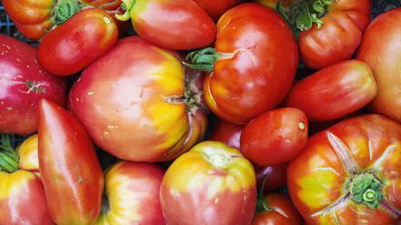 Tomaten enthalten viel Kalium und wenige Kalorien.