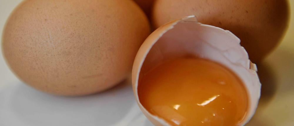 Der niederländische Landwirtschaftsverband geht davon aus, dass der Gesamtschaden durch den Fipronil-Skandal bei mindestens 150 Millionen Euro liegen wird.