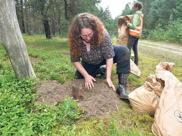 170 Völker siedelt Christina Grätz um. Der Zeitplan ist eng, im Oktober kommen die Baumfäller.