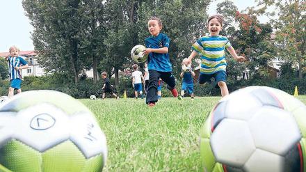 Am Ball. Das lange ungenutzte Areal an der Pankower Vinetastraße wird zum inklusiven Sportplatz. 