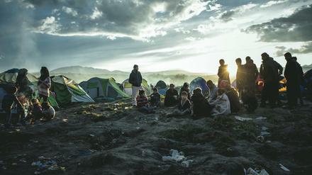 In Polen nicht erwünscht: Flüchtlinge im März 2016 im griechischen Flüchtlingscamp Idomeni.