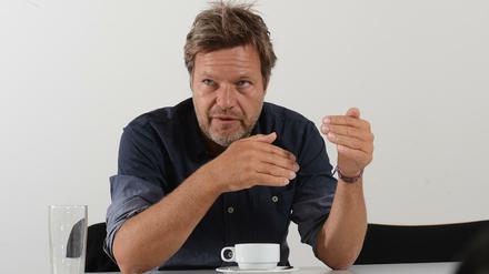 Robert Habeck, Schriftsteller und Politiker (Bündnis 90/Die Grünen)